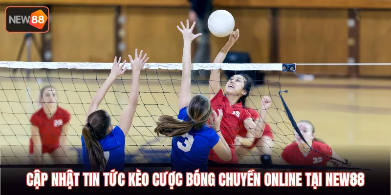 Cập nhật tin tức kèo cược bóng chuyền online tại NEW88