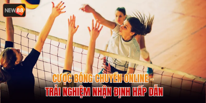 Cược Bóng Chuyền Online - Trải Nghiệm Nhận Định Hấp Dẫn