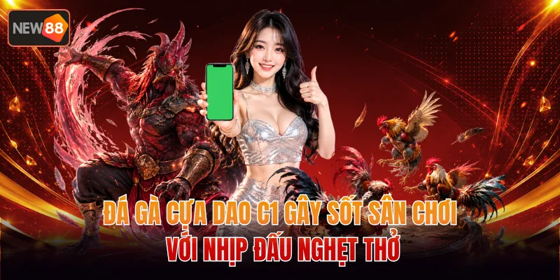 Đá Gà Cựa Dao C1 Gây Sốt Sân Chơi Với Nhịp Đấu Nghẹt Thở