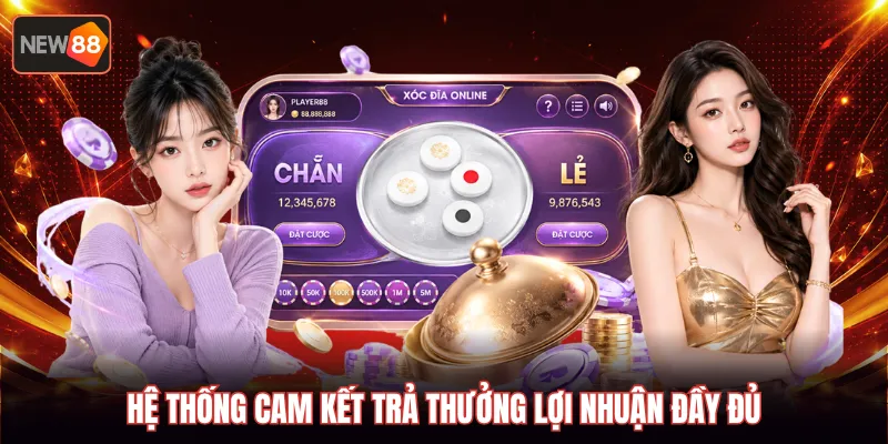 Hệ thống cam kết trả thưởng lợi nhuận đầy đủ