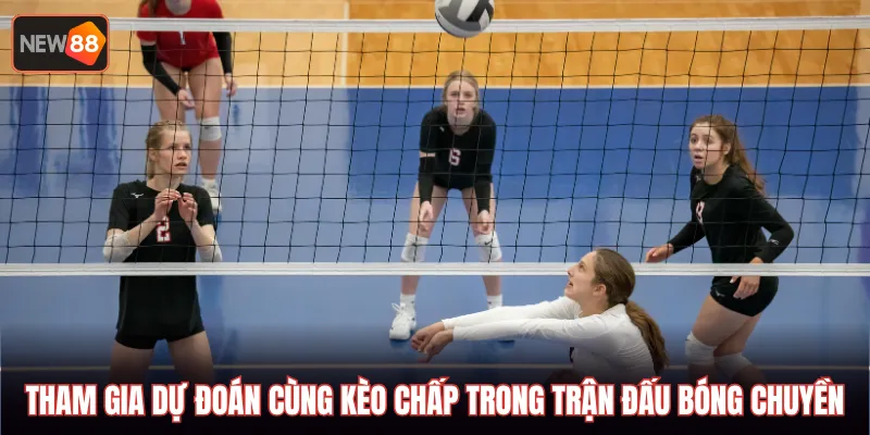 Tham gia dự đoán cùng kèo chấp trong trận đấu bóng chuyền