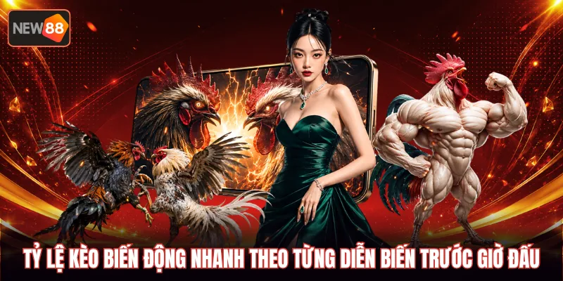 Tỷ lệ kèo biến động nhanh theo từng diễn biến trước giờ đấu